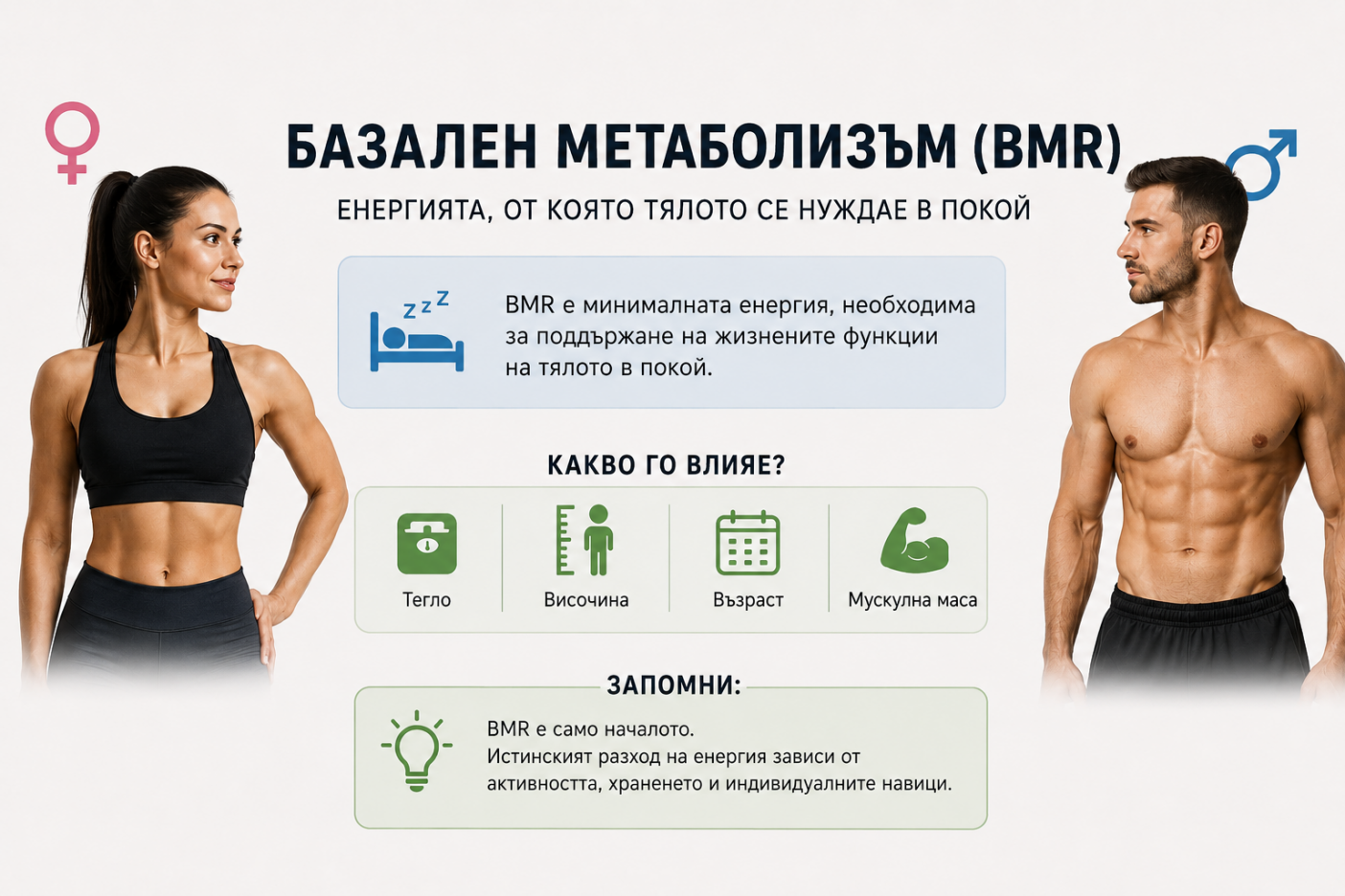 Инфографика за BMR — минималната енергия, необходима на тялото в покой, с факторите тегло, височина, възраст и мускулна маса